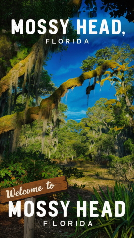 Mossy Head, Florida